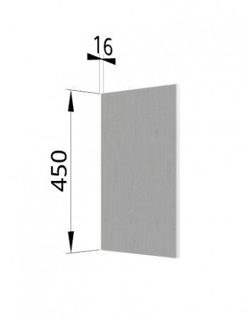 Панель торцевая (для шкафа горизонтального высокого) ВПГ Ройс (Графит софт) в Кольцово - kolcovo.mebel54.com | фото