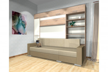 Шкаф-кровать с диваном Каролина в Кольцово - kolcovo.mebel54.com | фото